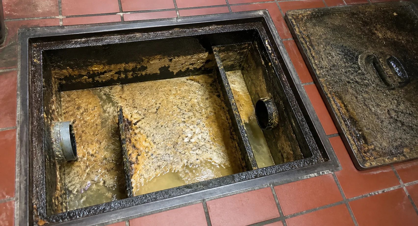 Accumulated grease and fats inside commercial kitchen drainage system requiring professional cleaning